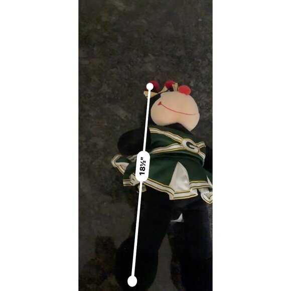 Build-A-Bear Ladybug Plush W/ NFL Green Bay Packers Cheerleader Outfit & Bow 16” - Picture 14 of 16